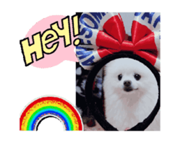 693292521