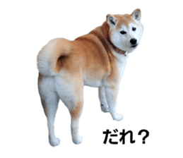 693349797