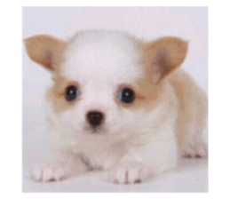 693383528
