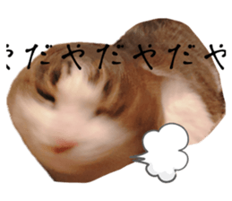 693384212