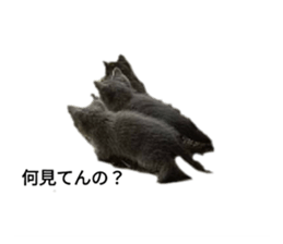 693401692