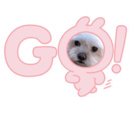 693436922