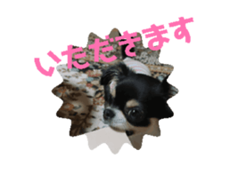 693447554