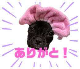693486203