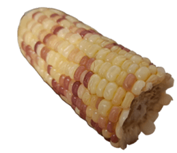 693500914