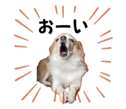 693500939