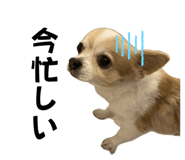 693500940