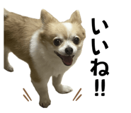 693500947