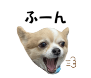 693500959