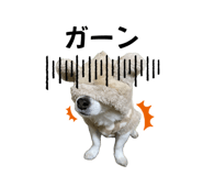 693500972