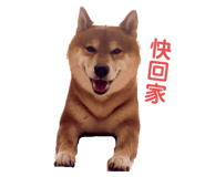 693518128