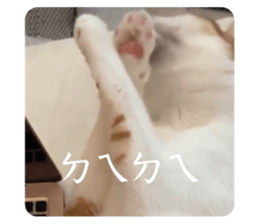 693521776