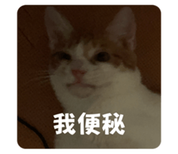 693521783