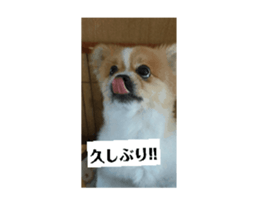 693524623