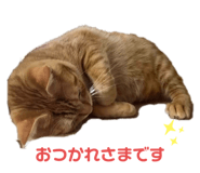 693531738