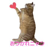 693531740
