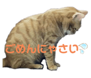 693531744