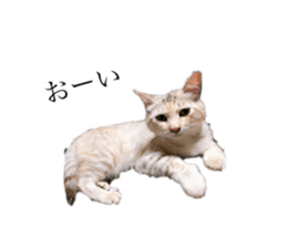 693533466
