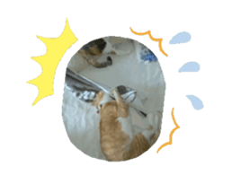 693534255