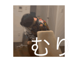 693535711