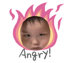 693544046
