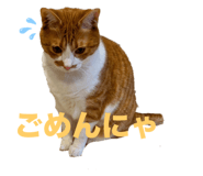 693545106