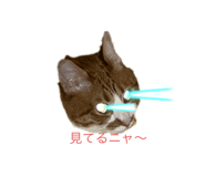 693545107