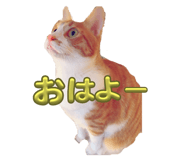 693545109