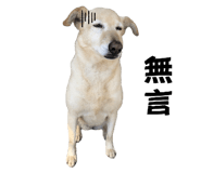 693589559