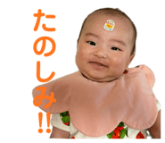 693602426