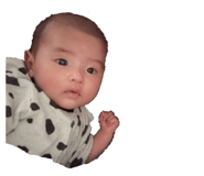 693602431
