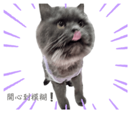 693604602