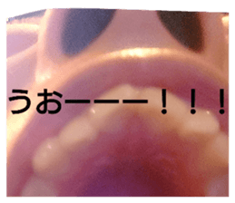 693605366