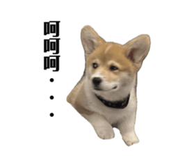 693677796