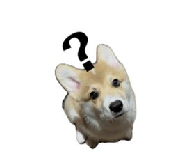 693677800