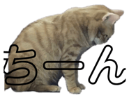 693705704