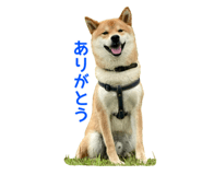 693716458