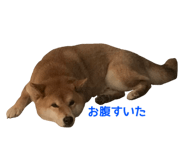 693716462