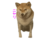 693716465