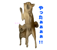 693716467