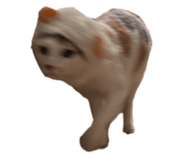 693729925