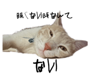 693743979