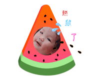 693778917