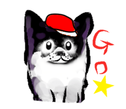 6937864