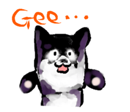 6937866