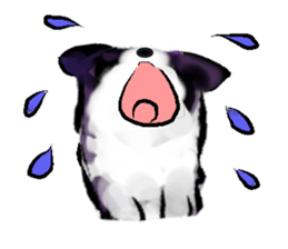 6937870