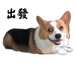 693787199