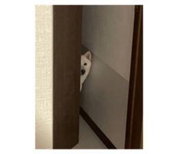 693873106
