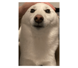 693873110