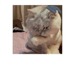 693913045